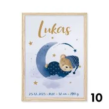 Personalizirana grafika ob rojstvu Medo in lunica