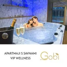 VIP nočni zasebni wellness za dve osebi, Olimje (Vrednostni bon, izvajalec storitev: MARJANCA, ODDAJANJE NEPREMIČNIN, REKLAMNIH NAPISOV)