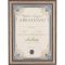 Diploma za ABRAHAMA, 21x29.7x1.5cm
