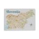 Magnet epoxi, oglat, Slovenija zemljevid, 8x5 cm