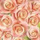Papirnate serviete, roza vrtnice, 33x33 cm, 20 kom