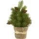 Božična jelka v lončku, 30cm