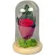 Vrtnica v steklenem valju, z LED lučko, 4x5.5cm