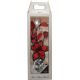 Vrtnica rdeča v cvetličnem lončku kartonska embalaža 29,5cm