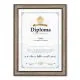 Diploma za FANTOVŠČINO, 21x29.7x1.5cm