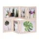 Set okvirjev za slike, 4x 9x13cm, 2x 13x18cm