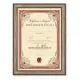 Diploma ROJSTNI DAN, Osemdesetletnica, rdeča, (36x25cm)