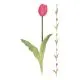 Umetno cvetje, tulipan, PVC, 40cm, sort.