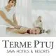 Masaža Primus za 1 osebo, Grand hotel Primus, Terme Ptuj (Vrednostni bon, izvajalec storitev: Terme Ptuj)