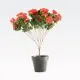 Umetno cveteje v lončku, Rododendron, PVC/blago, 40cm