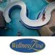 Celodnevno kopanje s savno za 2 osebi, Wellness Živa, Rikli Balance hotel, Bled (Vrednostni bon, izvajalec storitev: Hoteli Bled)