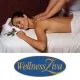 Medena masaža za 1 osebo, Wellness Živa, Hotel Golf Bled (Vrednostni bon, izvajalec storitev: Hoteli Bled)