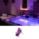3-urno wellness razvajanje v dvoje, Raj sprostitve, Hoce (Vrednostni bon, izvajalec storitev: IRIS SAMASTUR S.P.)