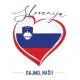 Navijaška majica - Slovenija Dajmo naši