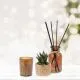 Aroma set, 3/1, sort.