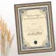 Diploma ROJSTNI DAN, Devetdesetletnik, modra, (36x25cm)
