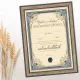 Diploma ROJSTNI DAN, Sedemdesetletnik, modra, (36x25cm)