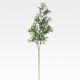 Vejica, PVC, 66cm, sort.