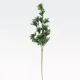 Vejica, PVC, 66cm, sort.