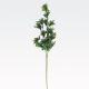 Vejica, PVC, 66cm, sort.