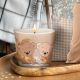 Sveča dišeča v steklu, Teddy Bear, 115 g