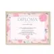 Diploma za SUPER BABICO, 23x33.5cm