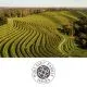 Vinska degustacija za dve osebi v vinski kleti Puklavec Family Wines, Puklavec Family Wines, Ormož (Vrednostni bon, izvajalec storitev: Puklavec Family Wines d.o.o.)