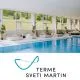 Svet savn s savna programom in masažo za 1 osebo, Terme Sveti Martin (Vrednostni bon, izvajalec storitev: TOPLICE SVETI MARTIN d.o.o.)