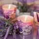 Sveča dišeča v steklu, Lavender Fields, 115 g, sort.