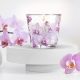 Sveča dišeča v steklu, Orchid Phalaenopsis, 115g