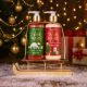 Darilni set HELLO WINTER, božični, (290ml tekoče milo roke, 290ml loisjon za roke),  z vonjem Frosted Cranberry, v darilni embalaži na lesenih saneh