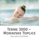 Celodnevno kopanje s kosilom in savno za 1 osebo, Terme 3000, Moravske Toplice