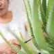 Masaža po izbiri za 1 osebo, Lepotni center Aloe Vera, Ljubljana <p hidden>(Vrednostni bon, izvajalec storitev: LEPOTNI CENTER ALOE VERA d.o.o.)</p>