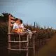 Piknik kovček za degustacijo med vinogradi za 2 osebi, Vinska klet Pri Starčih - Tavčar, Križ <p hidden>(Vrednostni bon, izvajalec storitev: MILENA TAVČAR nosilka dop.dej. na kmetiji)</p>