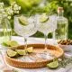 Kozarci za gin, 2/1, 500ml