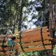 Obisk adrenalinskega parka za 1 odraslo osebo, Družinski park Stari Vrh, Poljane nad Škofjo Loko <p hidden>(Vrednostni bon, izvajalec storitev: VEVRCA D.O.O.)</p>