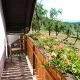 Dvodnevni oddih v Beli krajini z domaco podpeko, Apartma pri Movernu, Semic <p hidden>(Vrednostni bon, izvajalec storitev: MIRKO GOLOBIC, Nosilec dopol. dejavnosti na kmetiji)</p>