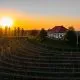 Vinska degustacija za dve osebi v Zidanici Malek, Puklavec Family Wines, Ivanjkovci <p hidden>(Vrednostni bon, izvajalec storitev: Puklavec Family Wines d.o.o.)</p>