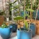 Vrednostni bon v vrednosti 50€, Tropski vrt Ocean Orchids, Dobrovnik <p hidden>(Vrednostni bon, izvajalec storitev: Ocean Orchids d.o.o.)</p>