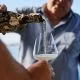Mare Santo Cuvee Prestige, peneče vino, 0,75l v darilni embalaži