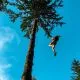 Vstopnica za adrenalinski park z Monkey Climbom za 1 osebo, Camp Menina, Rečica ob Savinji <p hidden>(Vrednostni bon, izvajalec storitev: CAMPING MENINA D.O.O.)</p>